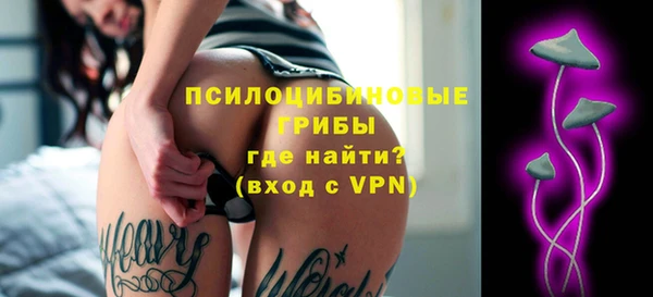 ALPHA PVP Алзамай