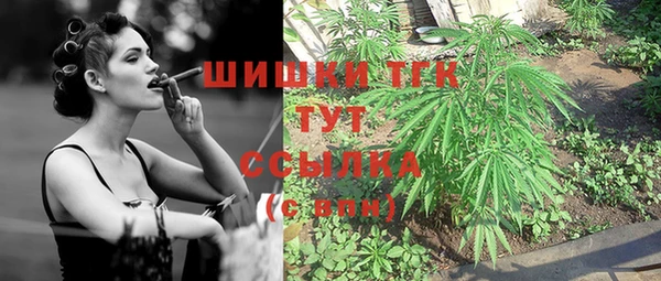 гидра Алексеевка