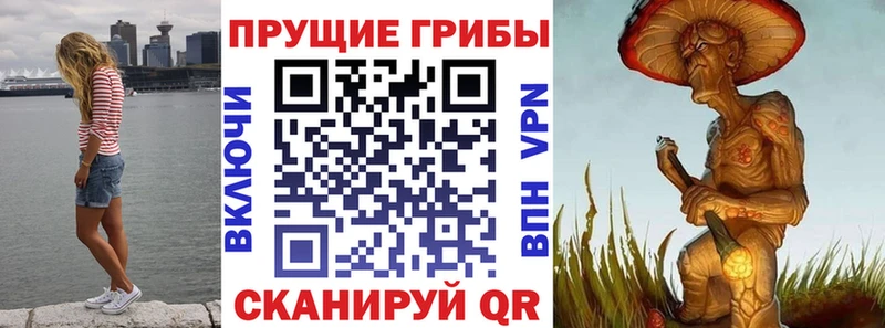 как найти закладки  Безенчук  Галлюциногенные грибы Cubensis 